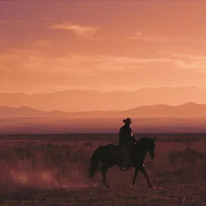 The Cowboy War : La saga O.K. Corral