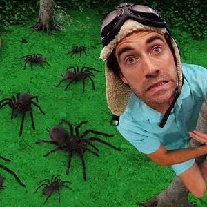 Danny Go!