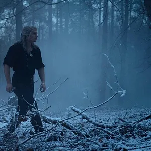 The Witcher