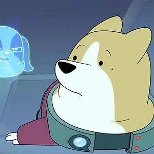 Les Chiens dans l'espace