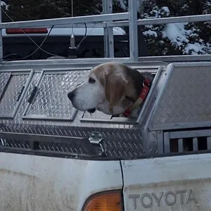 Seuls face à l'Alaska