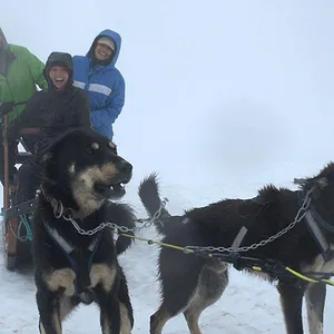 Étrange, mais vrai !