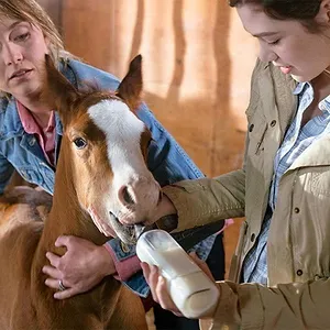 Heartland