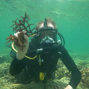 Étrange, mais vrai !