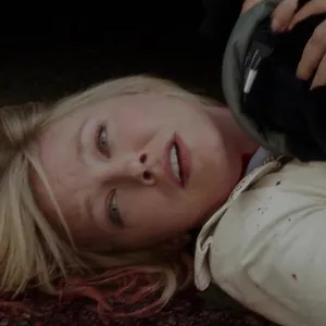 New York Unité Spéciale