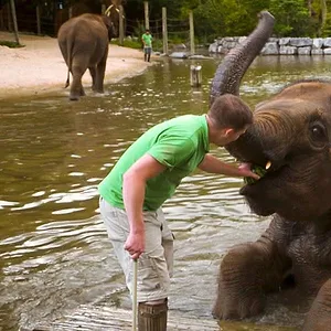 Expédition Pairi Daiza