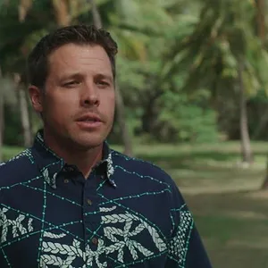 When Sharks attack...