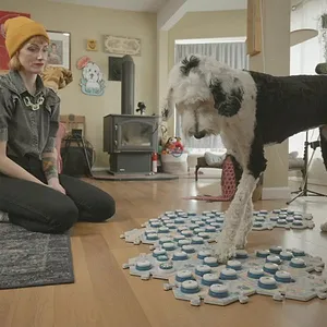 Dans la peau de nos animaux
