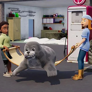 S15 E19 : Épisode 19