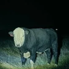 Les secrets du Skinwalker Ranch