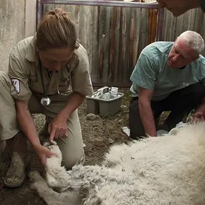 Michelle ou la vie sauvage