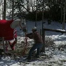Heartland