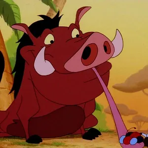 Timon et Pumbaa