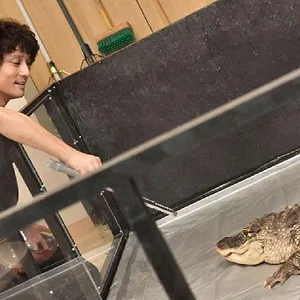 あなたの番です