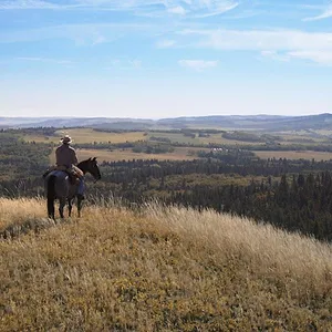 Heartland