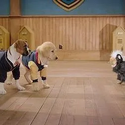 Pup Academy : L'école secrète