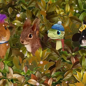 Les Wonder Choux dans la grande ville