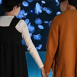 シンデレラ クロゼット