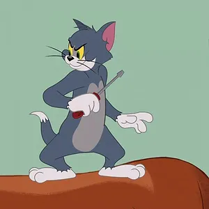 Tom et Jerry Show