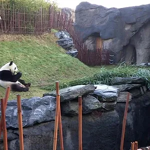 Expédition Pairi Daiza