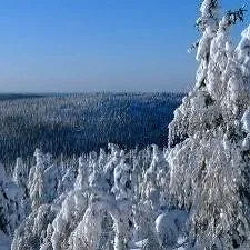 Terres sauvages de Russie