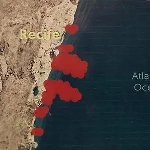 When Sharks attack...