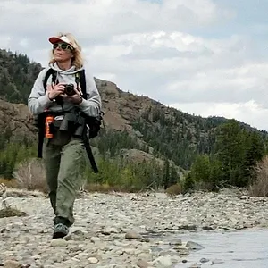 Gold & Greed : Une impitoyable chasse au trésor