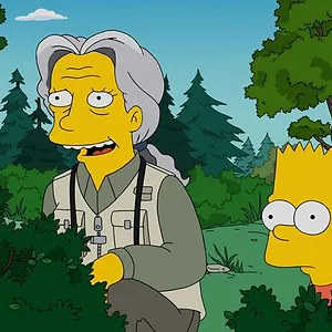 Les Simpson