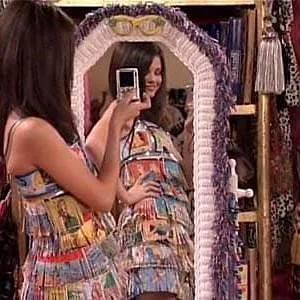 Les Sorciers de Waverly Place