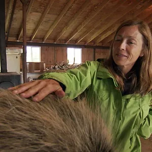 Michelle ou la vie sauvage