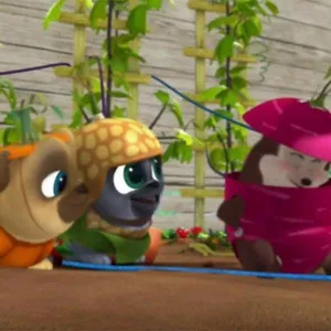 Le monde de Bingo et Rolly