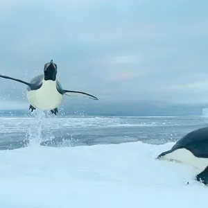 Nos océans