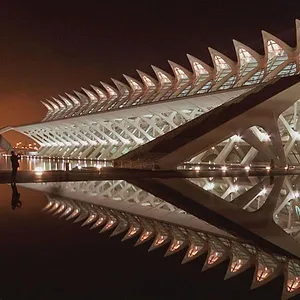 Origines : L'histoire de l'humanité