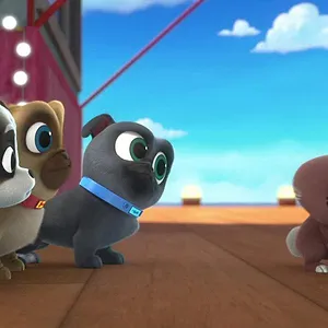 Le monde de Bingo et Rolly