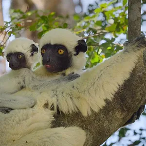 Parcs nationaux : Ces merveilles du monde