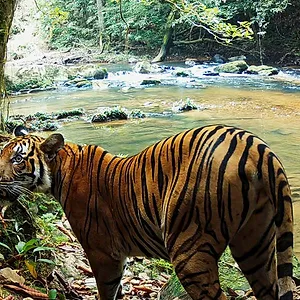 L’Aventure sauvage