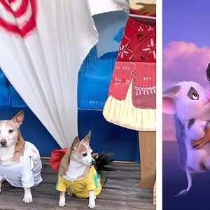 A Fan Celebration of Moana