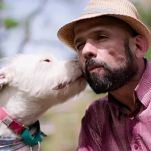 Nos amis les chiens