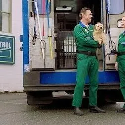 Pup Academy : L'école secrète