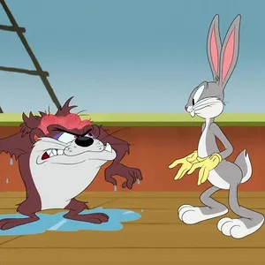 Looney Tunes Cartoons