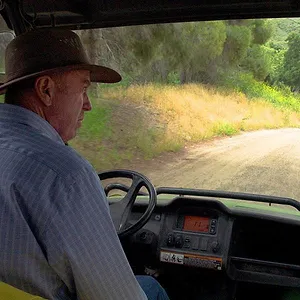 Une Journée à Disney