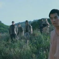 The Stranded