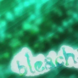 Bleach
