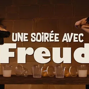 L'Histoire racontée par des chaussettes