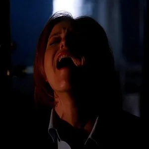 X-Files : Aux frontières du réel