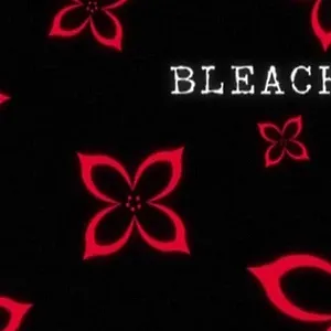 Bleach