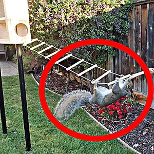 Mark Rober's CrunchLabs