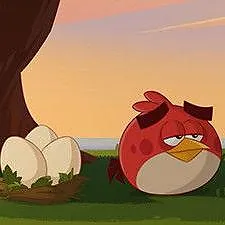Angry Birds