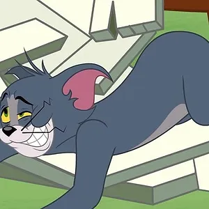 Tom et Jerry Show