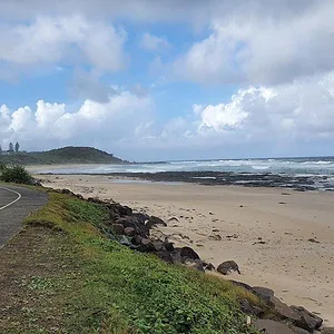 When Sharks attack...